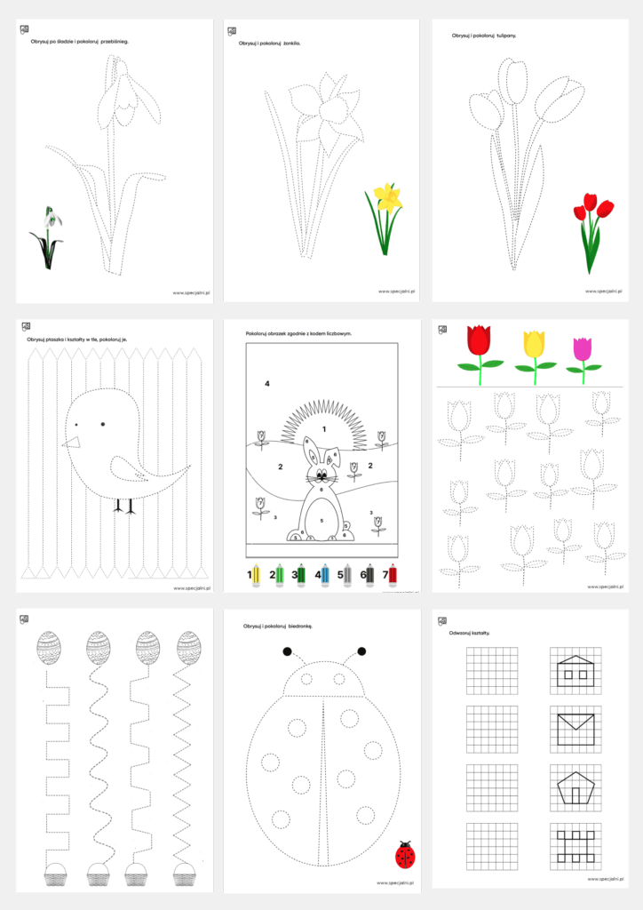 szkolenia specjalni.pl