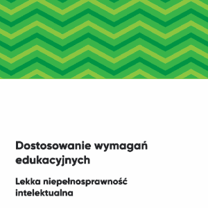 Dostosowanie wymagań edukacyjnych. Lekka niepełnosprawność intelektualna.