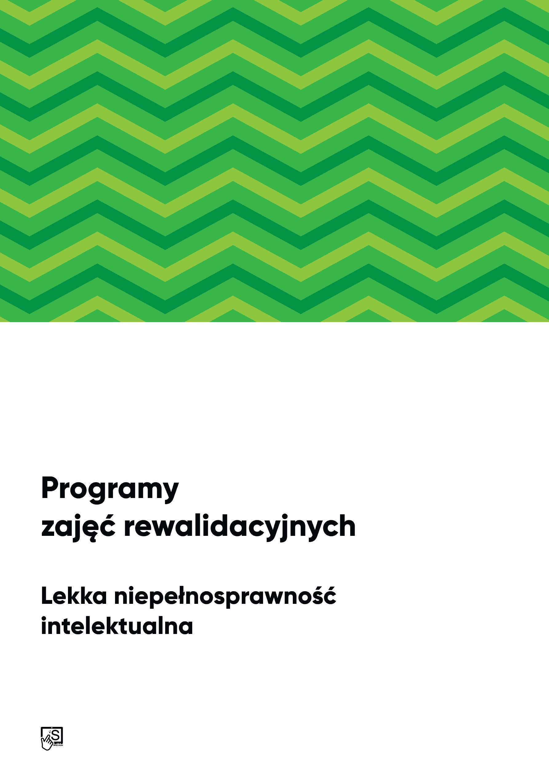 Program zajęć rewalidacyjnych. Lekka niepełnosprawność intelektualna. Program zajęć rewalidacyjnych. Lekka niepełnosprawność intelektualna.