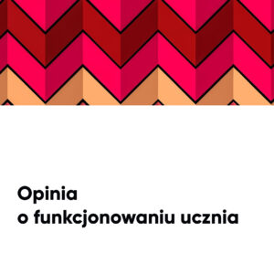 Opinia o funkcjonowaniu ucznia w zróżnicowanej klasie