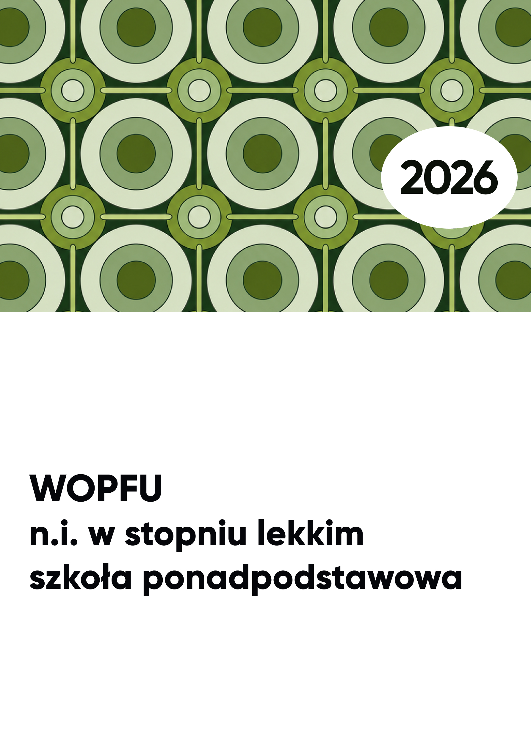 WOPFU n.i. w stopniu lekkim. Szkoła PONADPODSTAWOWA